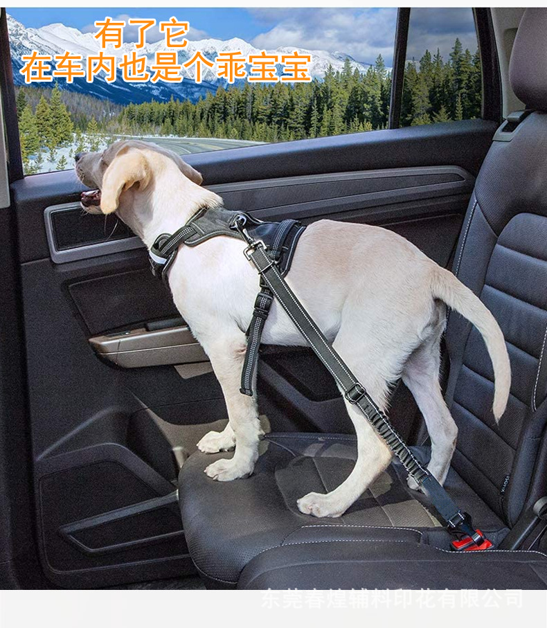 宠物带详情页4.jpg