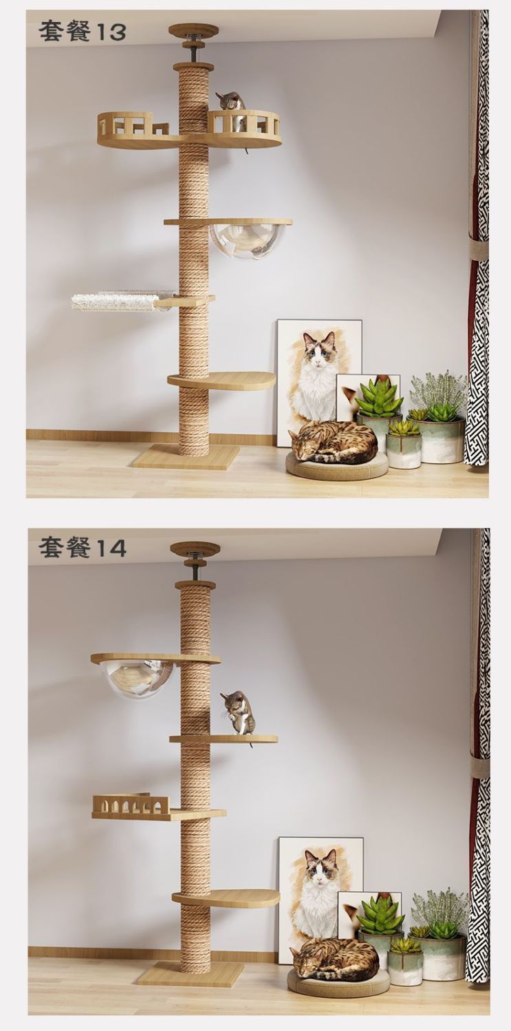 30e8be1d-c911-42a5-81b2-d0bda221bf53.jpe