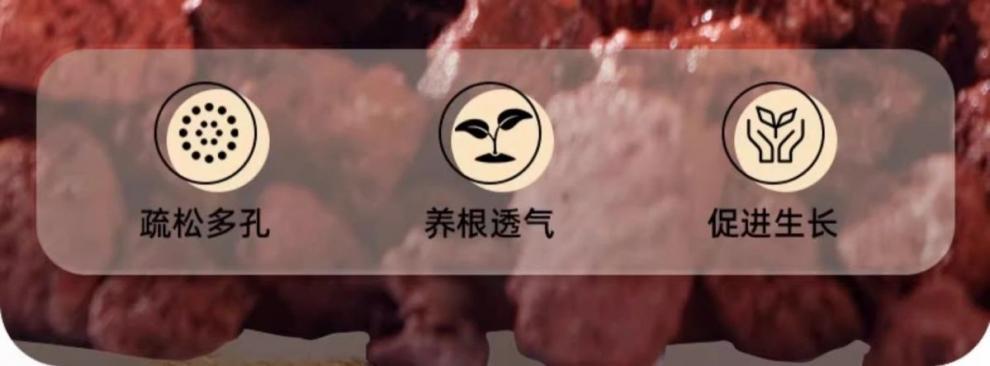 3a6e6741e9c436b4ad2dfa14f501fbe4.jpeg