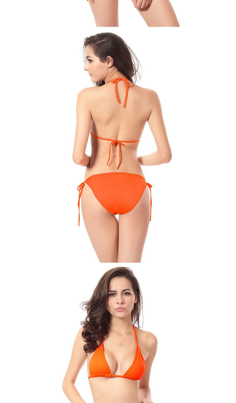 ed28dcef-40dc-45a3-b711-81b5bcd74a5b.jpe