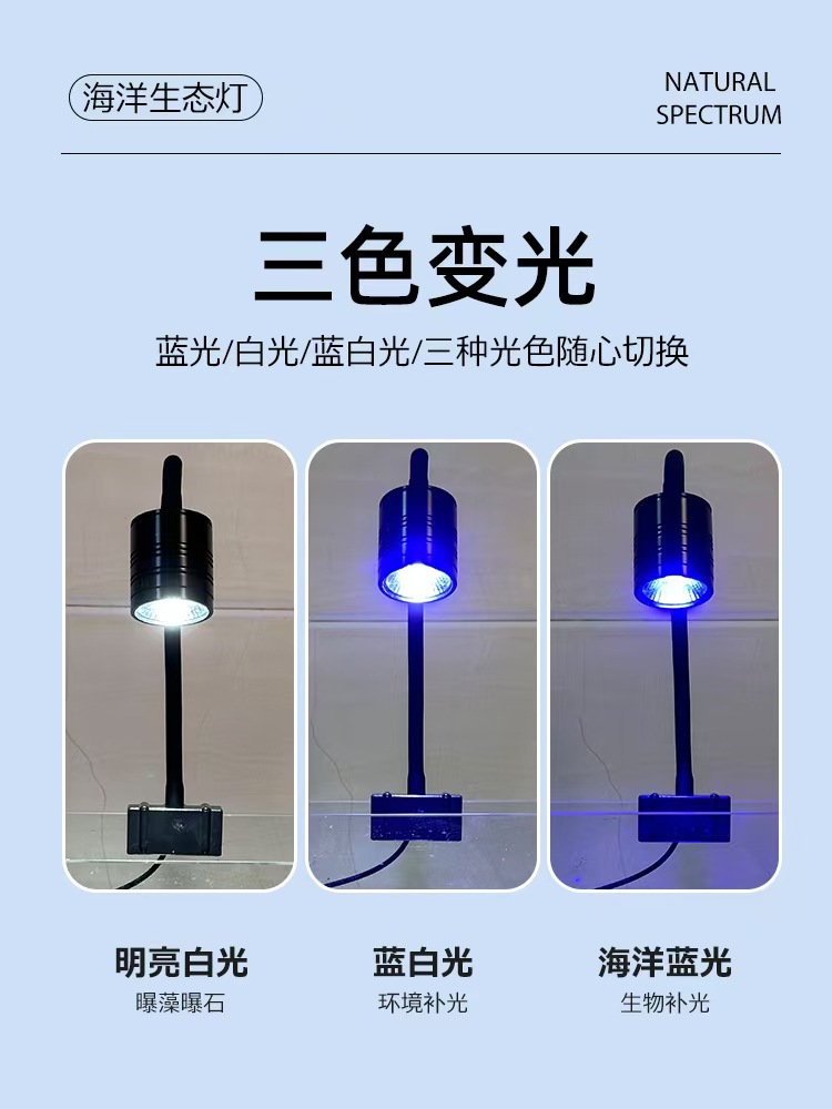 微信图片_20241121220738