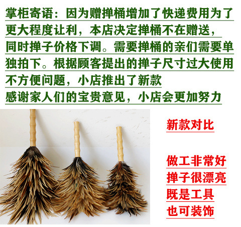 671c3be2-c20b-4db3-8ab6-4782fafc9489.jpg?x-oss-process=image/format,png