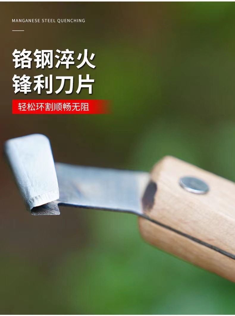 详情4.jpg
