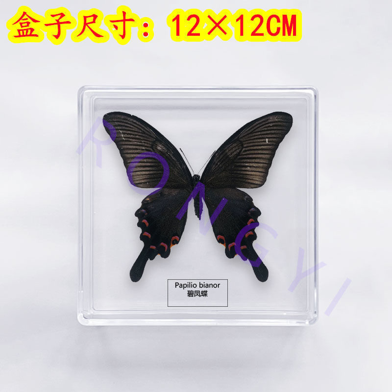 640e4005-6826-42cb-996e-d457c664dfa6.jpe