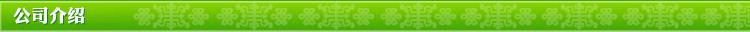 公司介绍