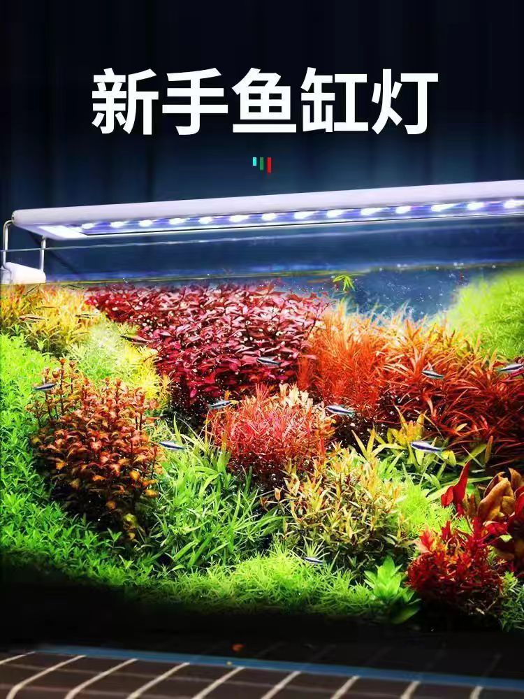 a8e582fb-4c4c-4f23-848a-fa0223dcf164.jpe