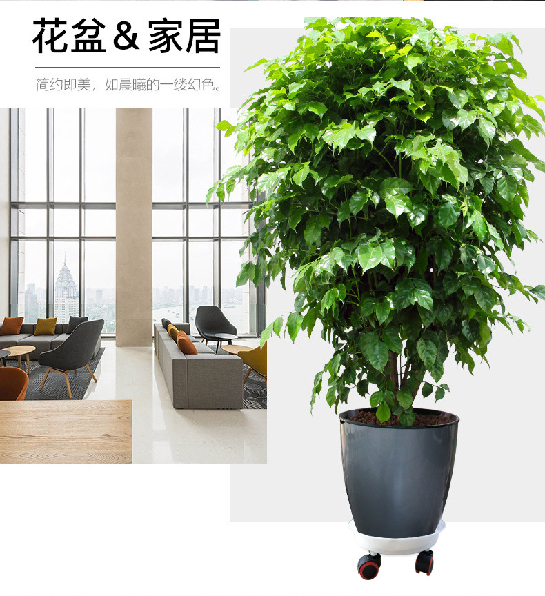 H013托盘-带文字_05.jpg