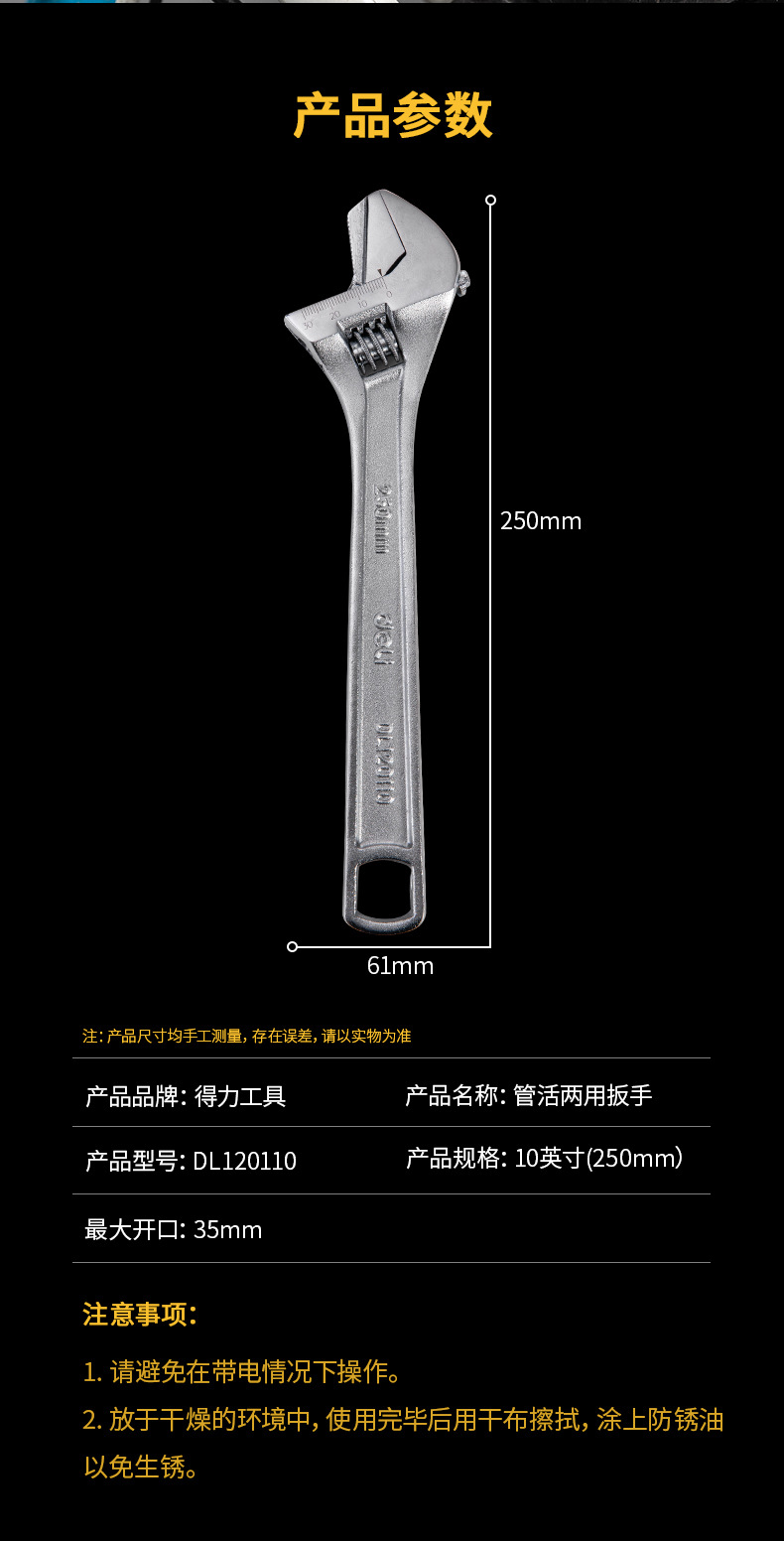 DL120110 (13).jpg