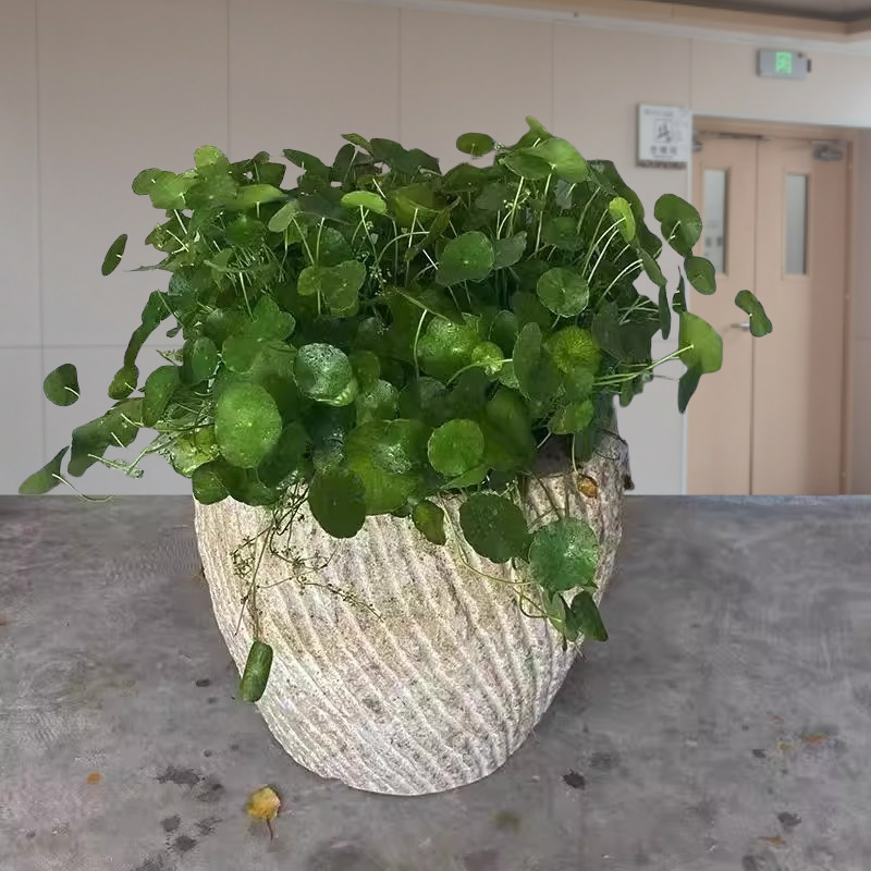 O1CN01A36nXo24bNUX9MX0m_!!4611