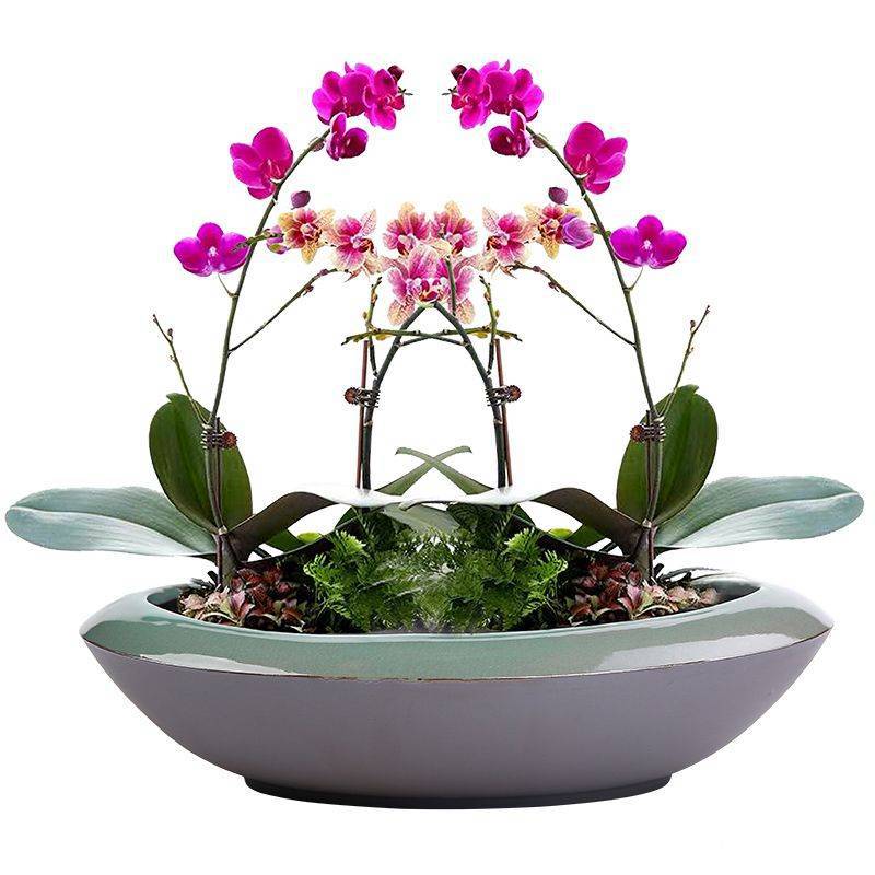 QQ图片20221109203331