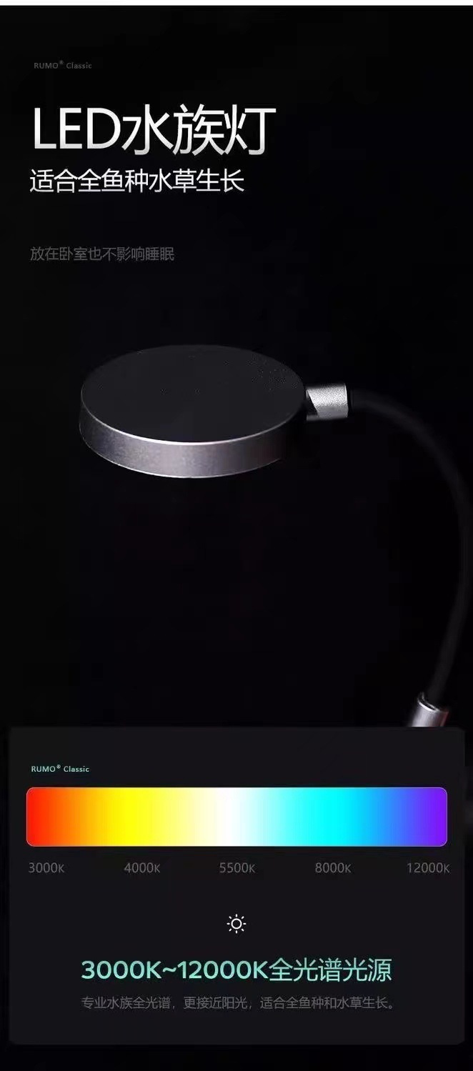 bb55031b-a6a2-4185-a8a9-e24d683bbe5a.jpe