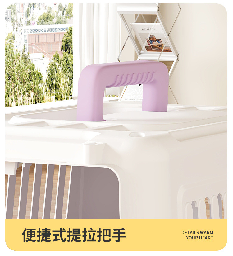 7505a863-09b5-40e9-9cb9-bcc031848fc1.jpe