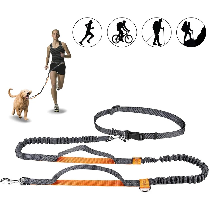 Dog-Leash-Hands-Free-Leash-For