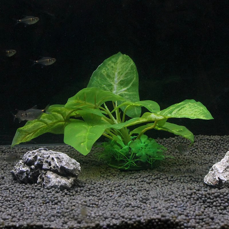 TB2DrIAdTZRMeJjSspkXXXGpXXa_!!