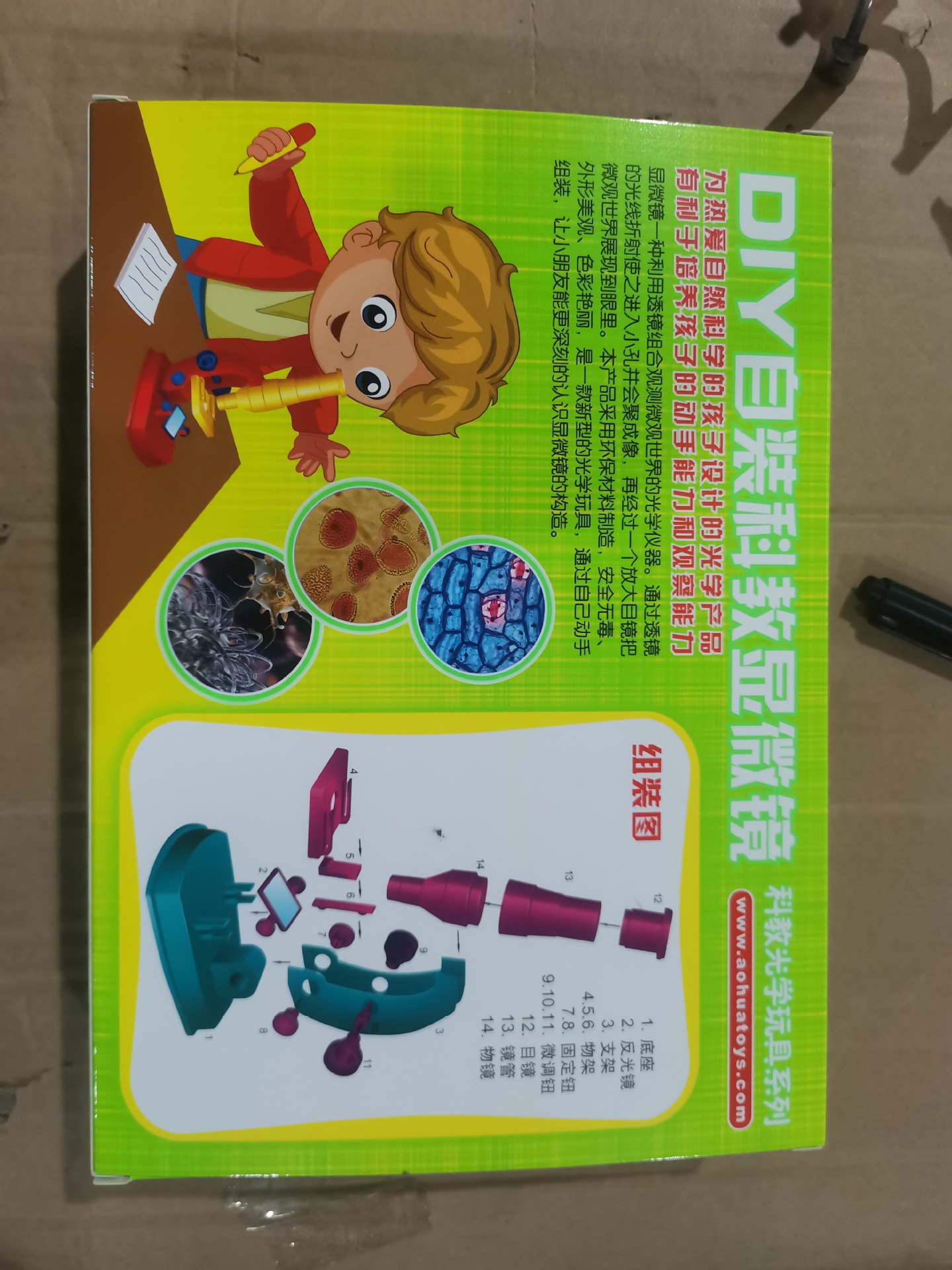 显微镜2