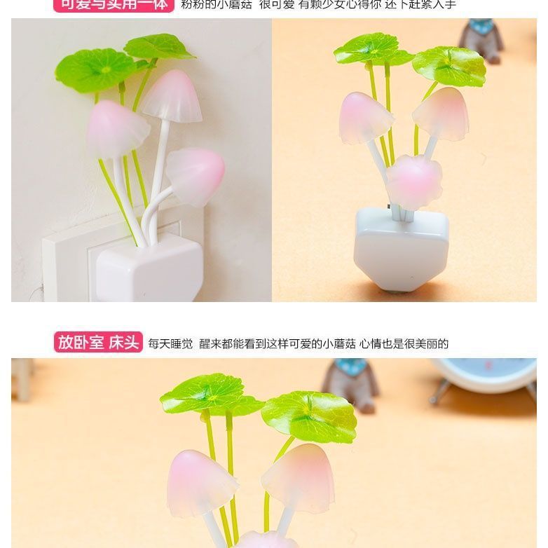 1ff4e31d-d765-4321-b094-c5dddd4b463b.jpe