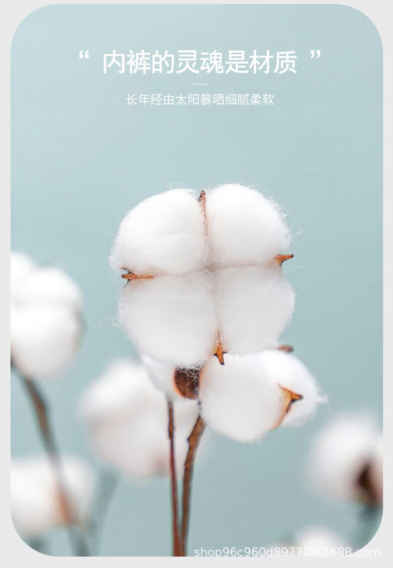 详情图04.jpg