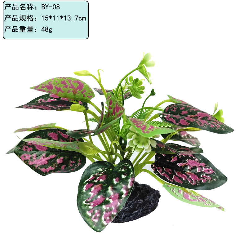 未标题-2