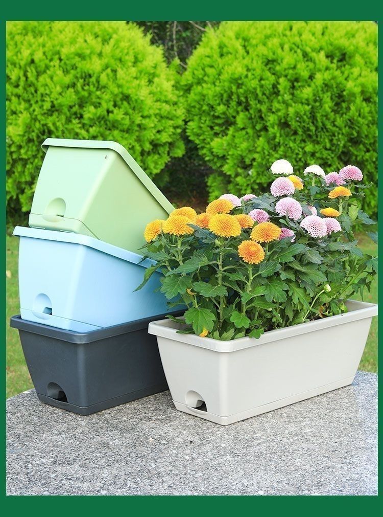 4f150479-be1f-414c-9d7a-7cdd9a3ab34b.jpe