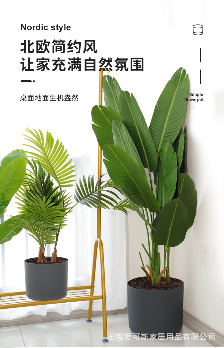 详情页_01.jpg