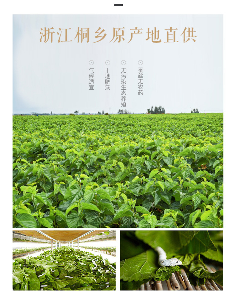 ae31e646-6364-4108-920a-c27f4b0d87e6.jpe