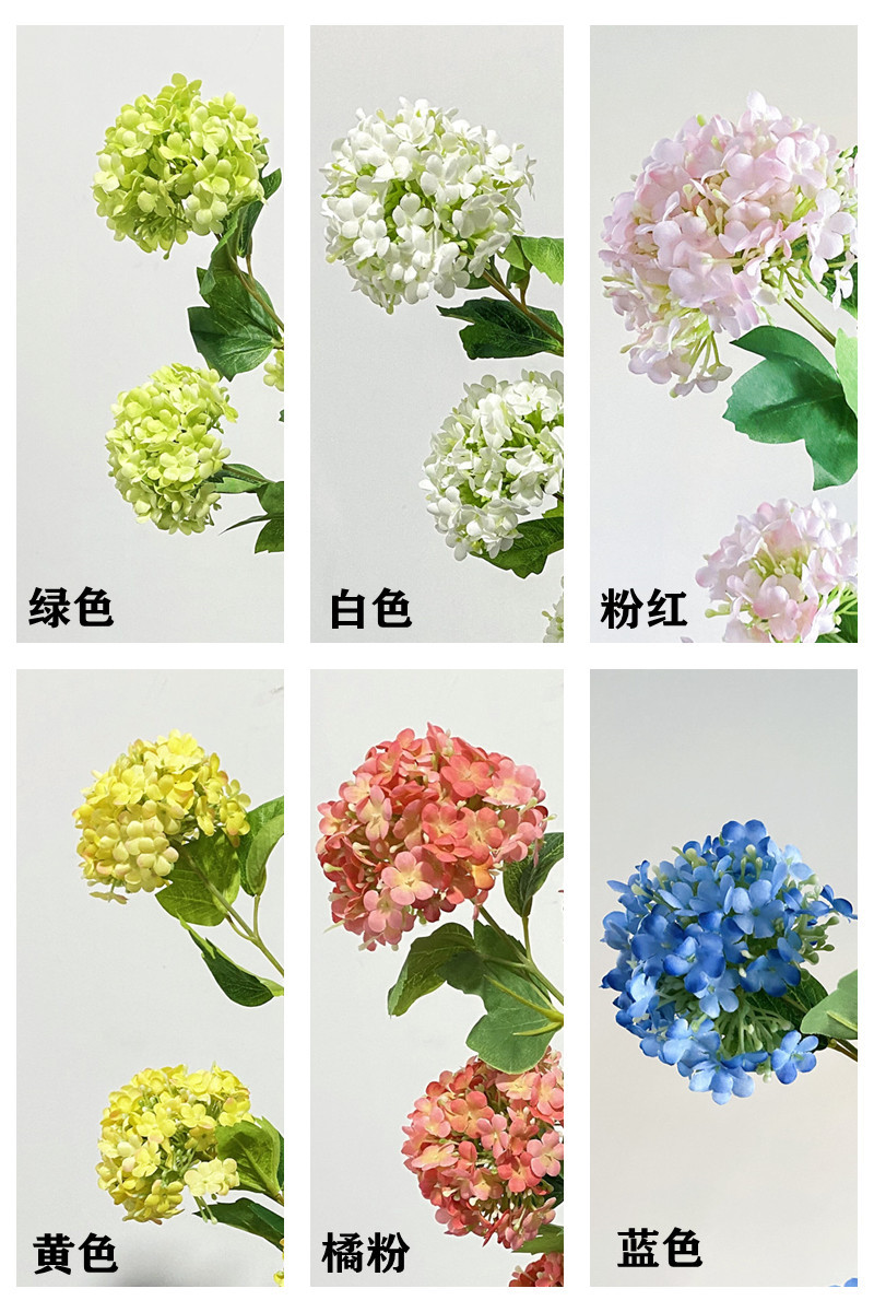 长杆绣球色卡