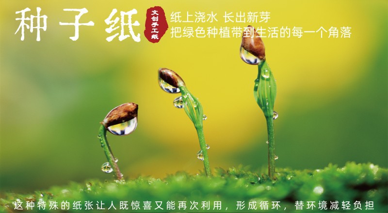 种子纸000_副本