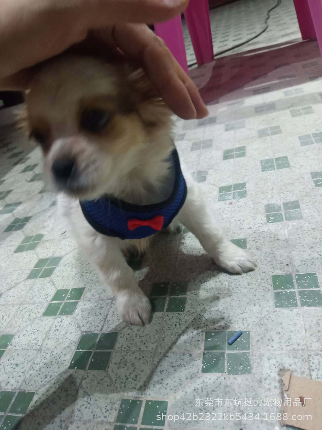 6a6b376b8c06cf7cc50e6aef4aaa84