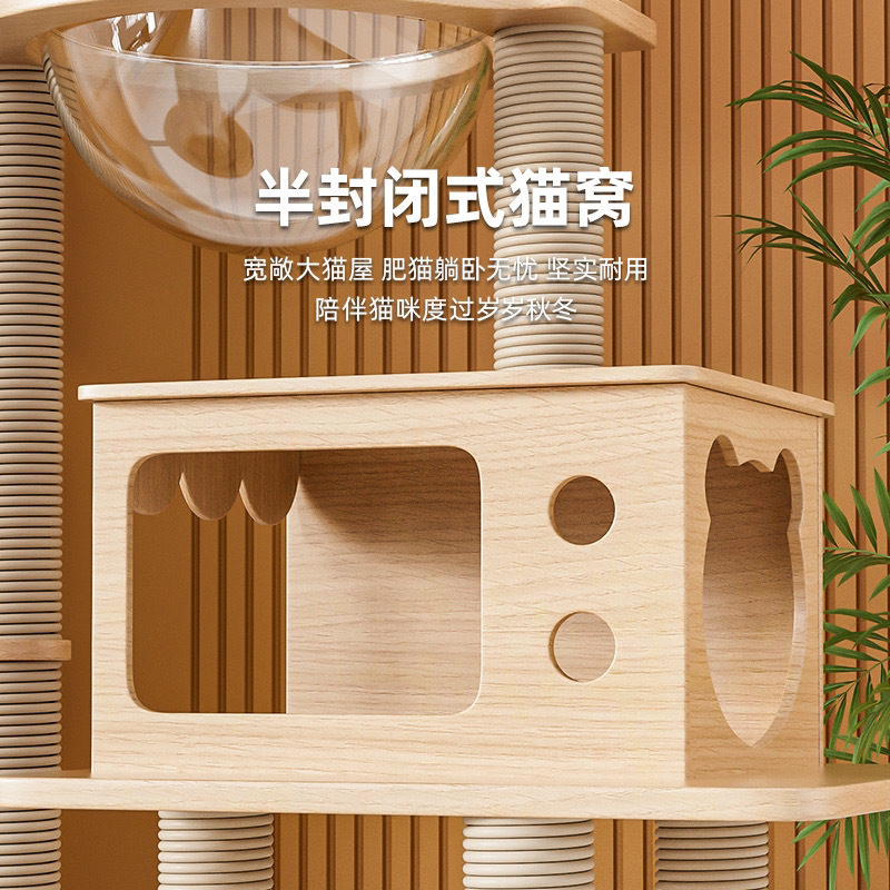 53585e21-f0e4-4583-9945-b30c6cd19994.jpe