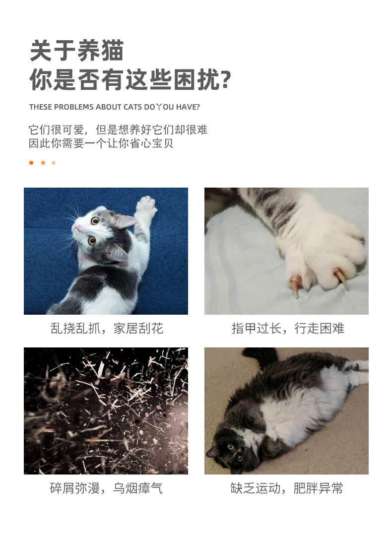 详情2.jpg