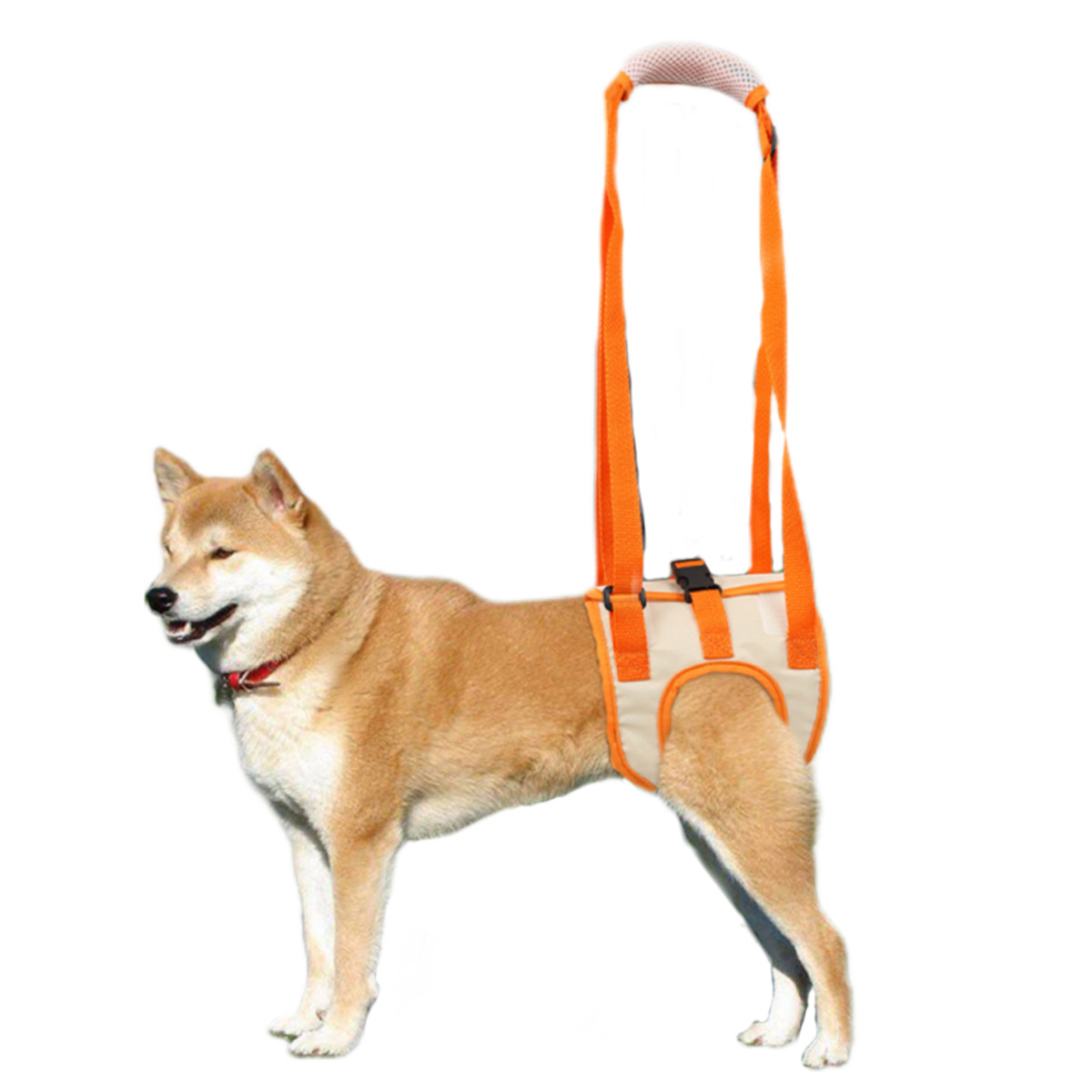 微信图片_20240618151951