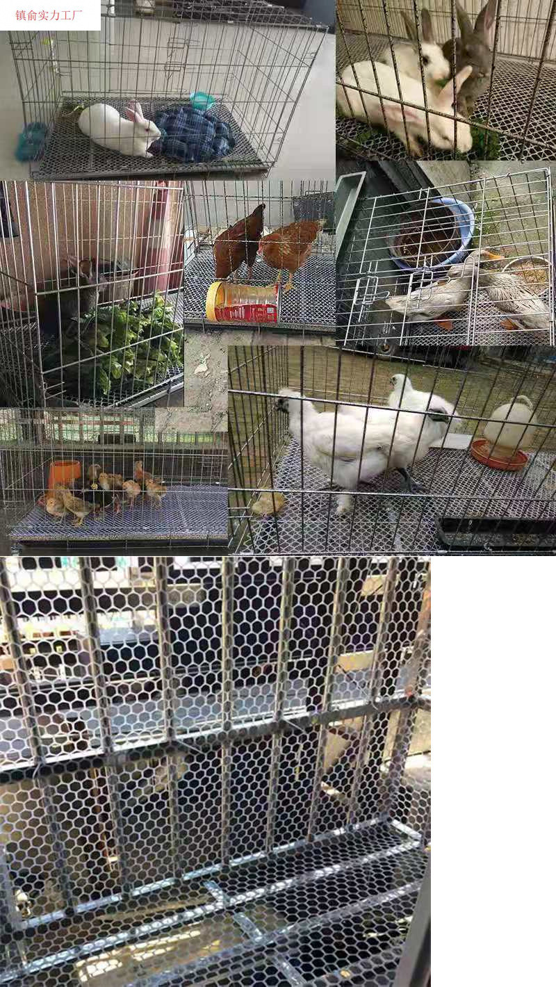 d0a45888-6aa3-4297-ae11-414b607523c0.jpe