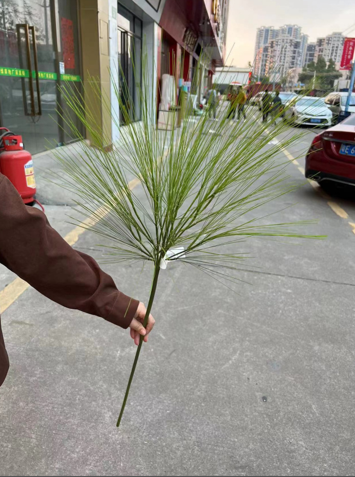 微信图片_20230419183114