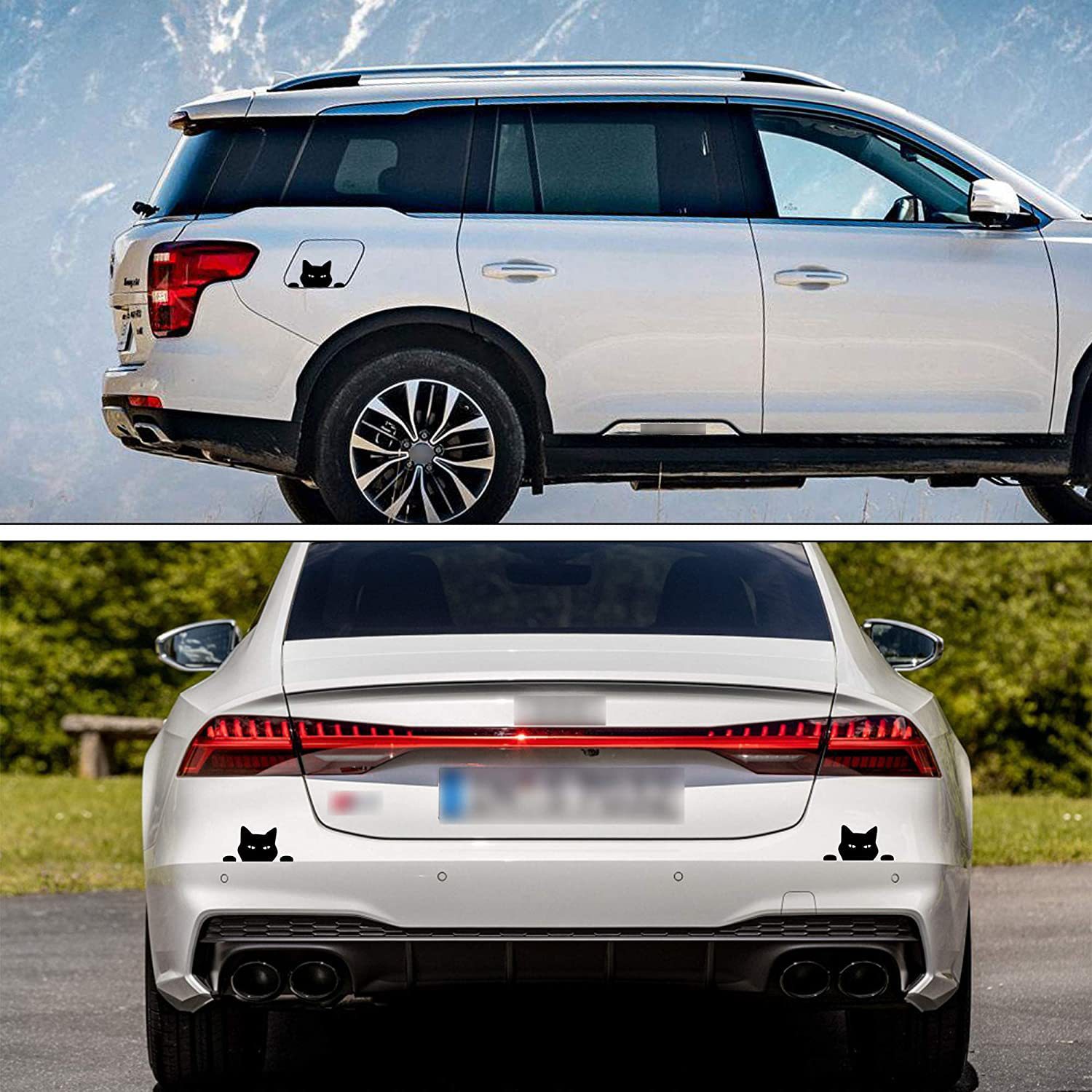 81v-ZpGalNL._AC_SL1500_