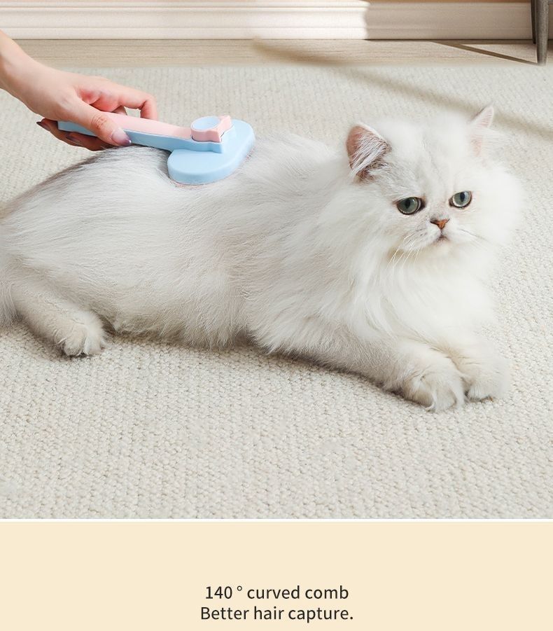 ccce206a-d053-4564-880c-8d54a87a5eaf.jpe