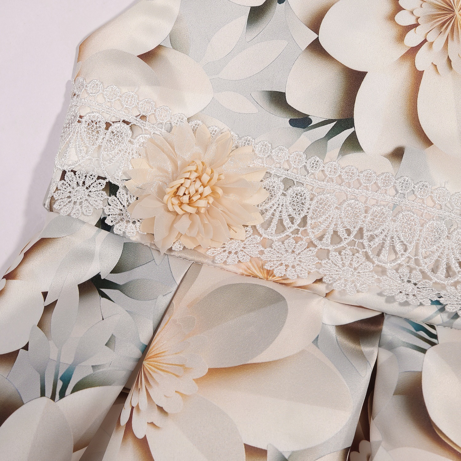 AC6A2560 (复制) - 副本.JPG