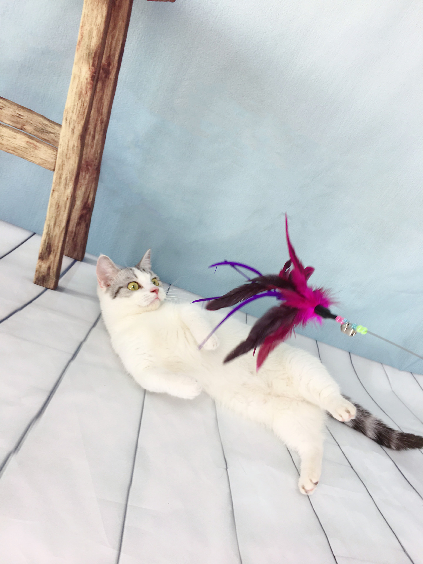 undefined