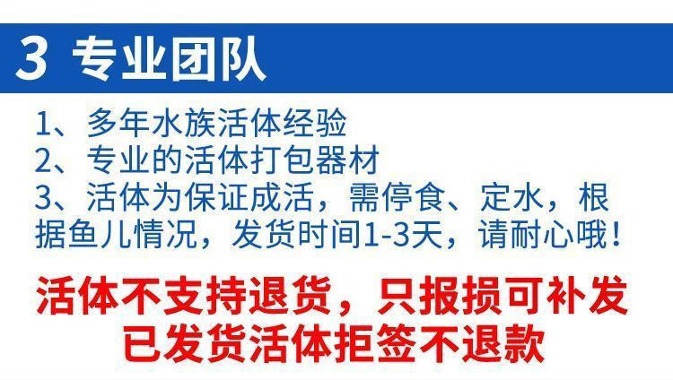 5c013dab-c27c-40ac-a02e-2542d7202ddd.jpe