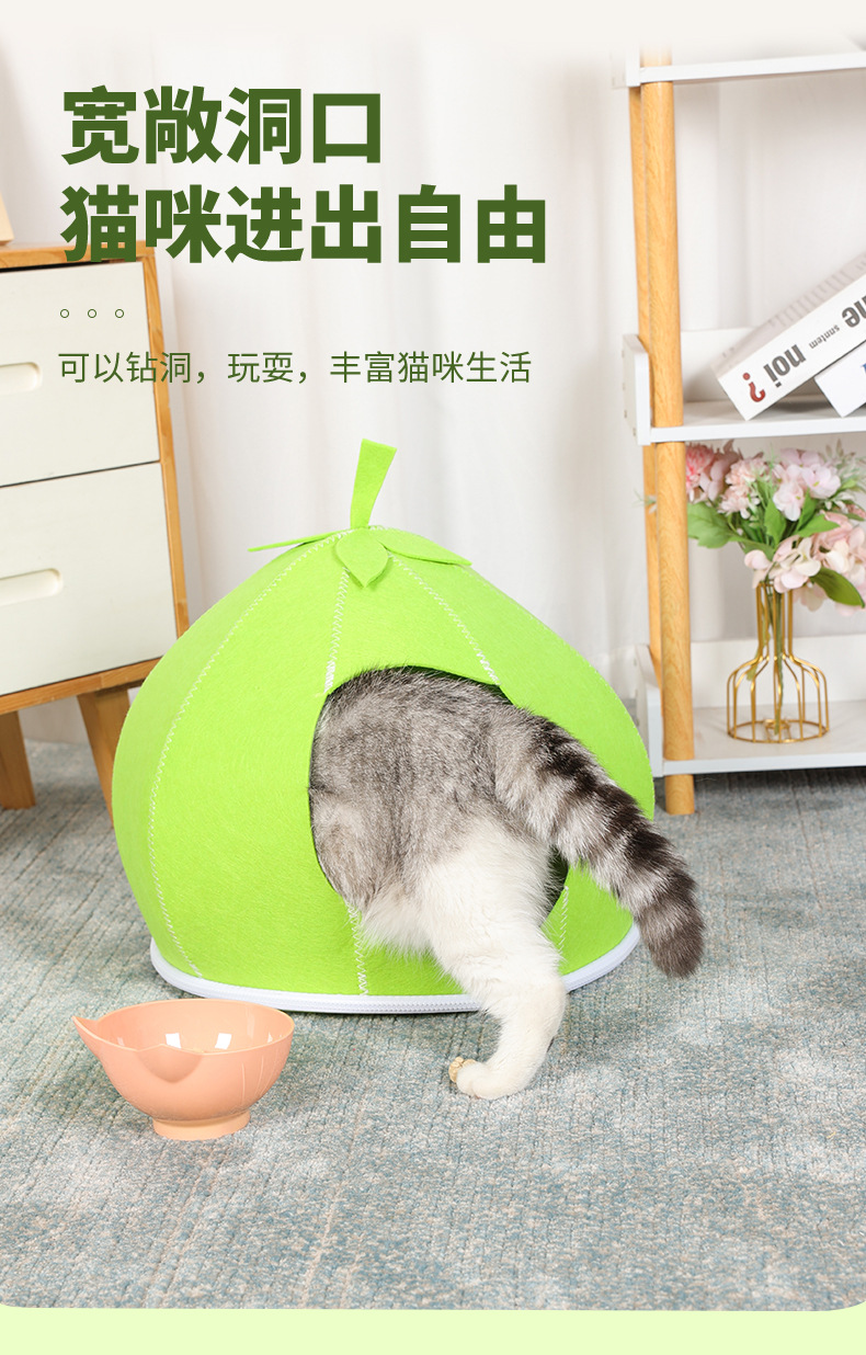 橘子宠物窝_05.jpg
