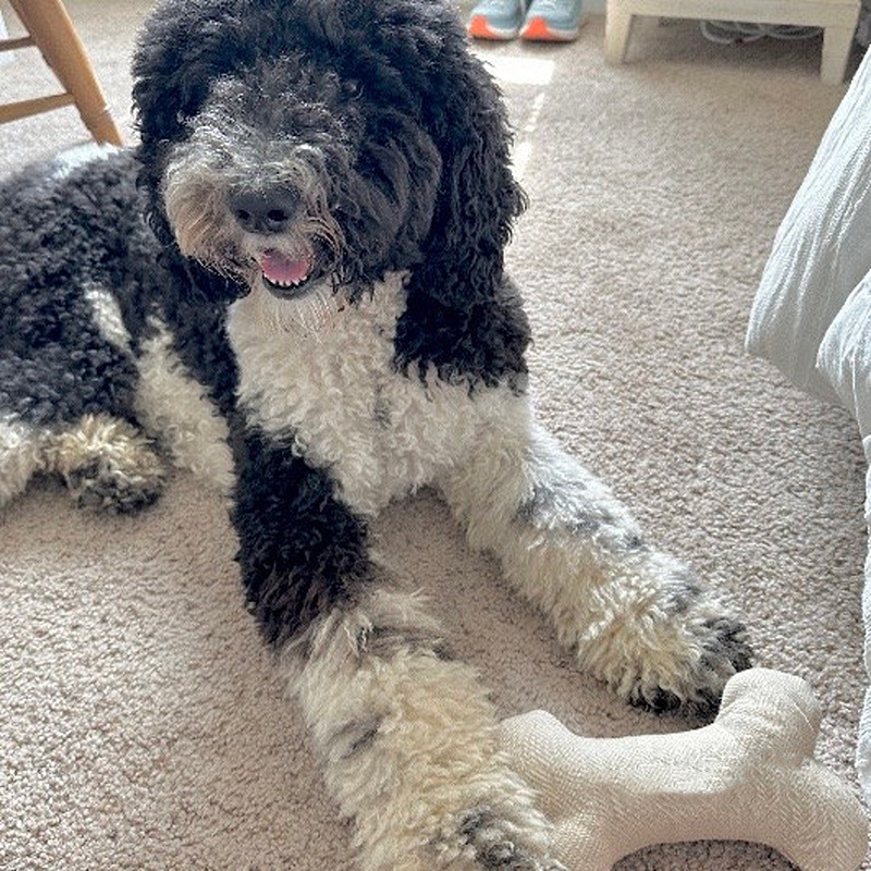 fd03f39b-e94f-4f3f-8c2d-23578b