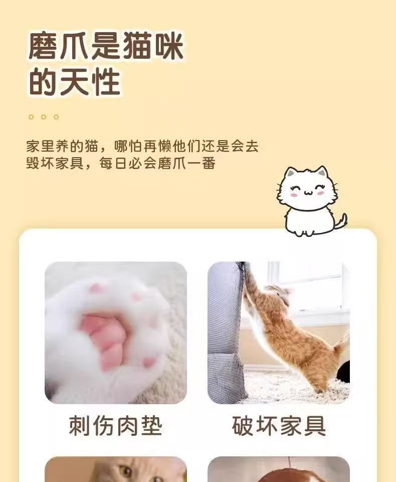 dd0dcf77-8181-4bc5-8d65-15c628c452c0.jpe