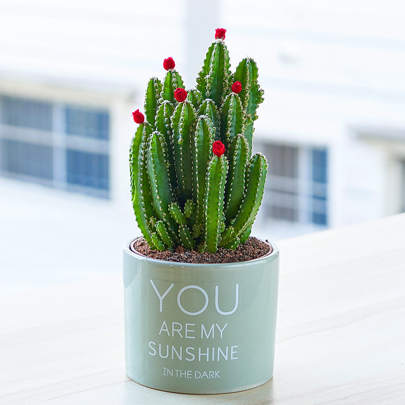 f6e7dcec-c29a-4eef-ba40-14d1cddc99e2.jpe