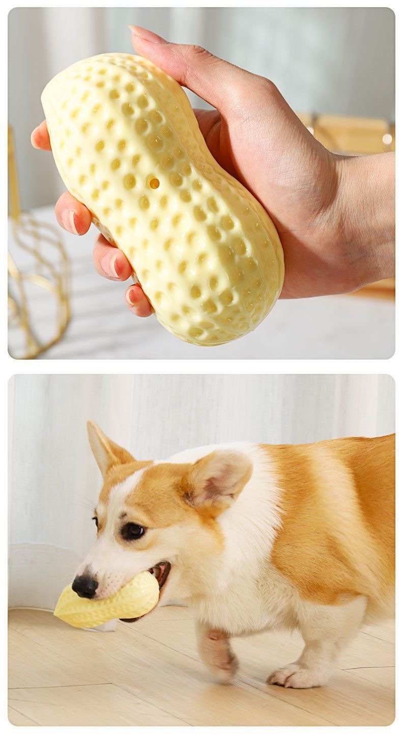 d21496c7-f9e3-47b8-a3d4-7369e78b4e29.jpe