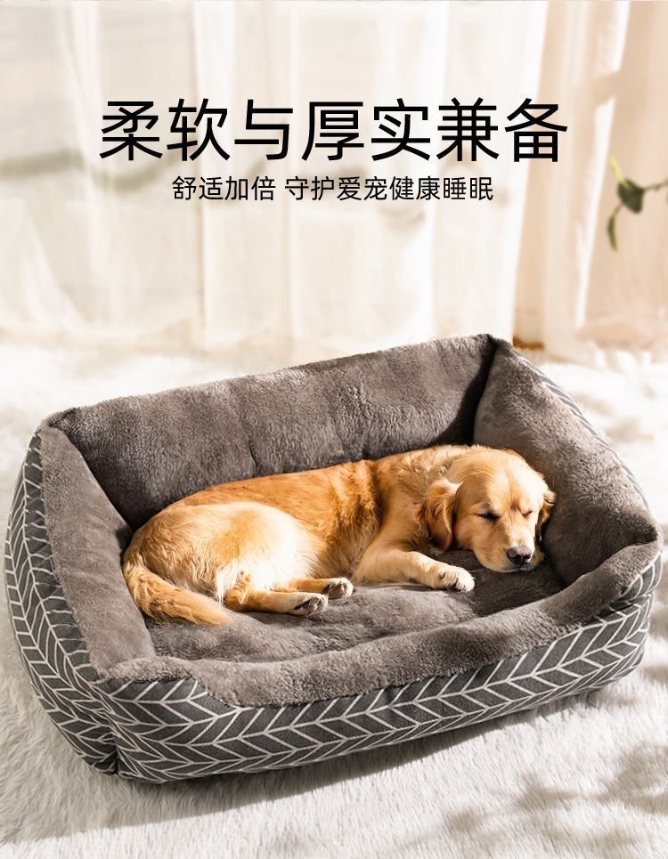 b21ddabf-88dc-4a86-a66b-657a733448e9.jpe