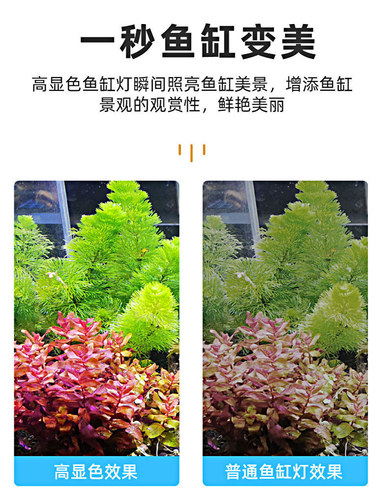 cd7a8bd4-c1b9-4ad5-bd84-9ac6cc7d2ef0.jpe