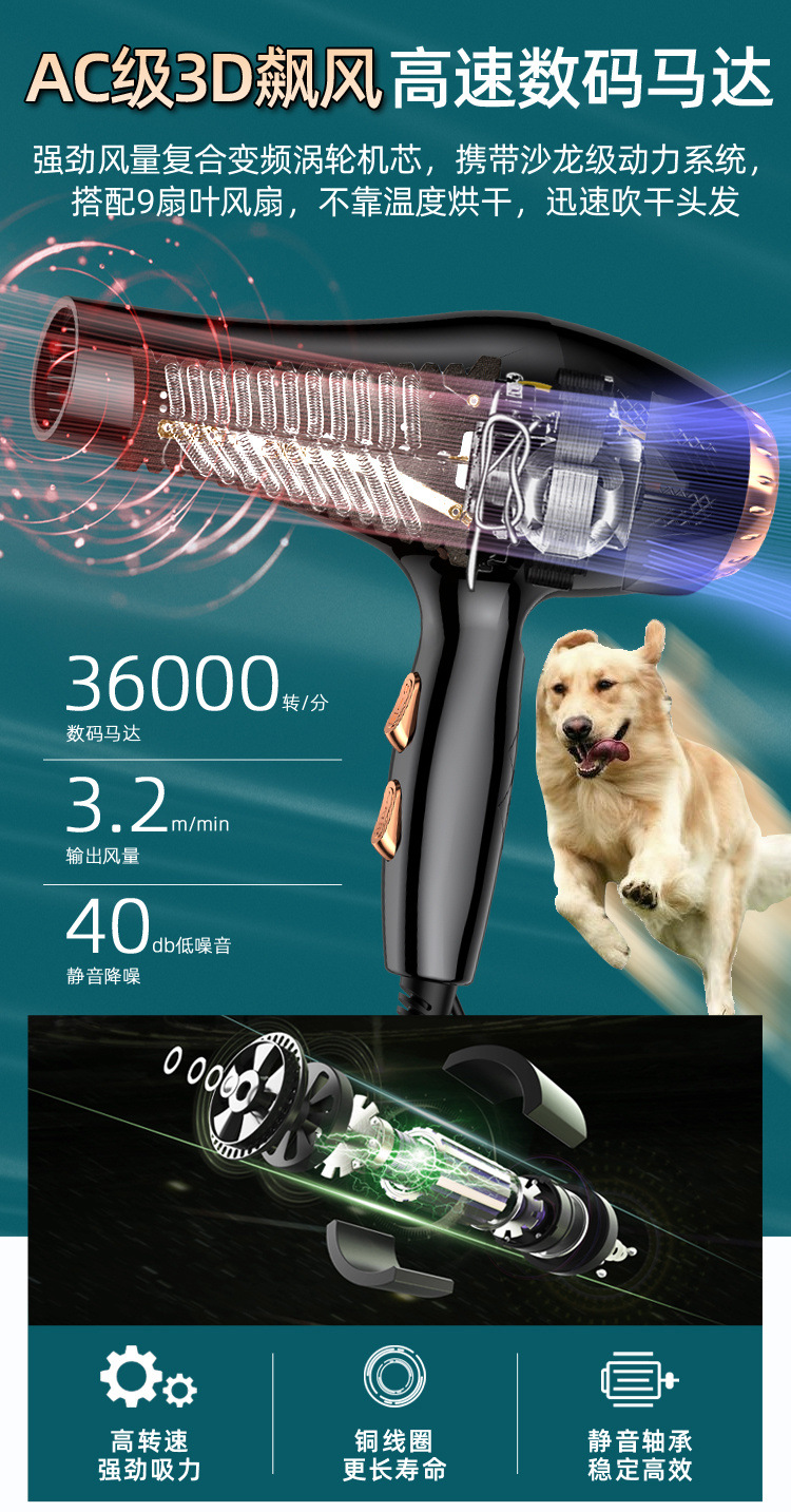 2242bba8-4e68-4fc5-a772-c00ad377b131.jpe