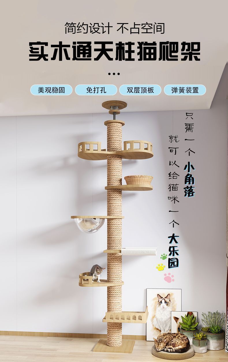 69e7aee2-00bb-4e3e-895a-84c615d9b2b8.jpe