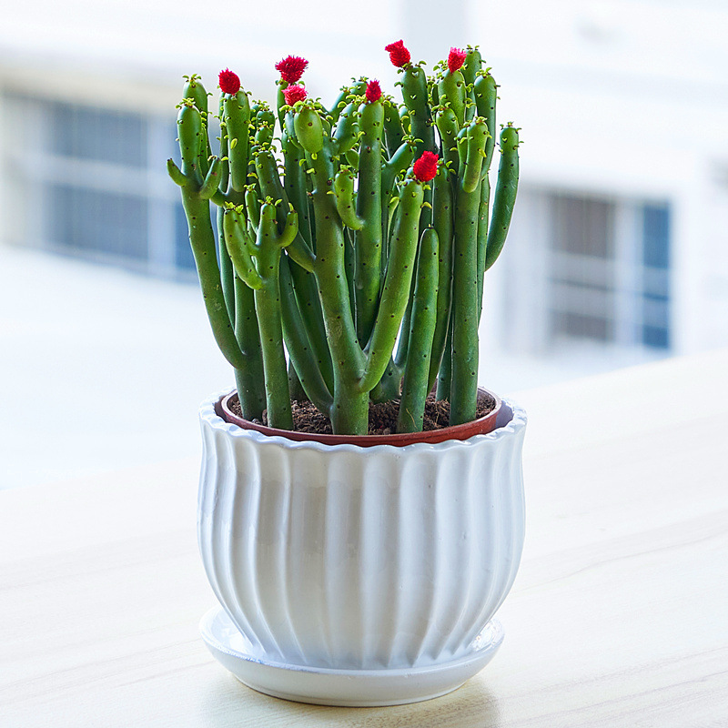 6948b5d0-2a83-453b-a557-fd83a8f86e51.jpe