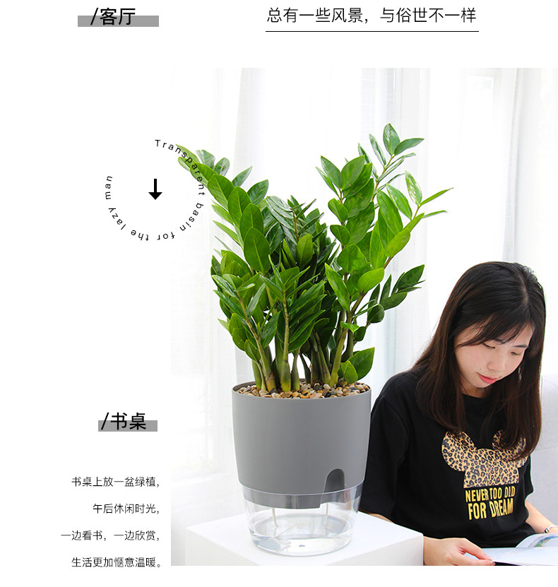 AS高透明系列_18