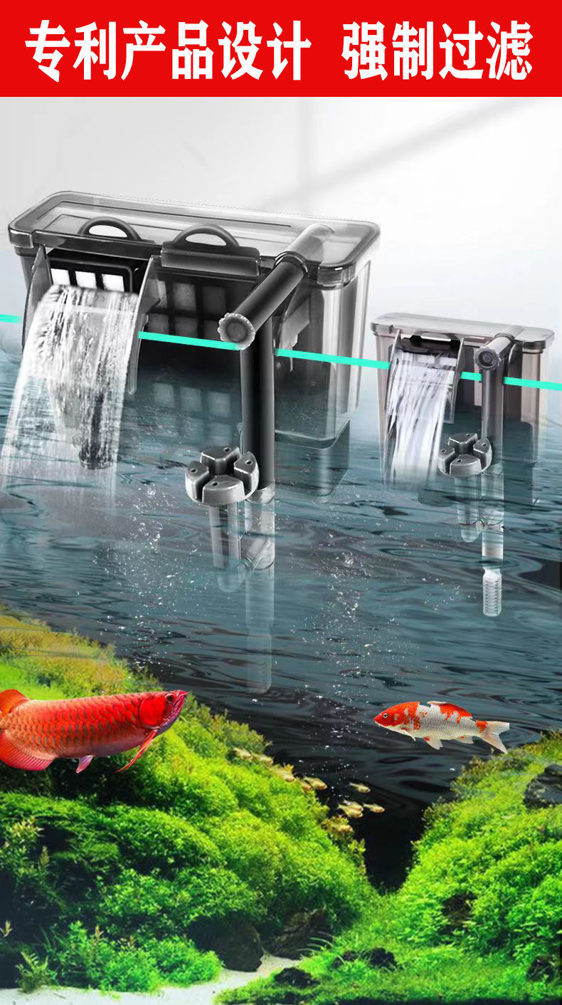 3d8d8ab9-d0a5-4462-970a-a4319e768d9b.jpe